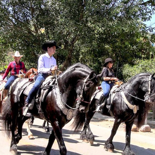EDOMEXCABALGATAHORSETRAIL.jpg